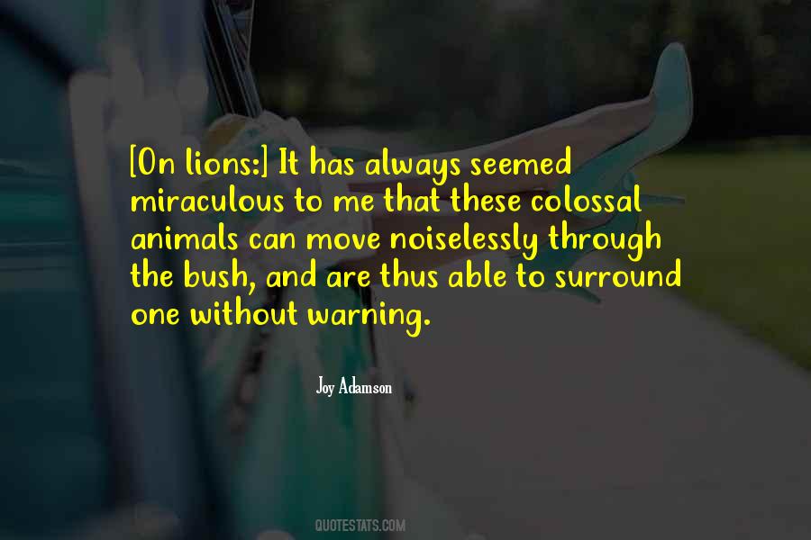 Joy Adamson Quotes #905811