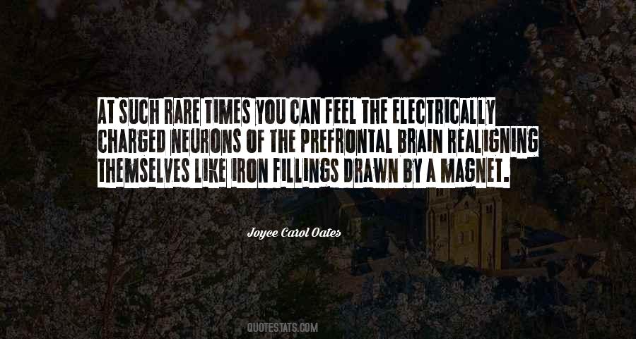 Joyce Carol Oates Quotes #895204