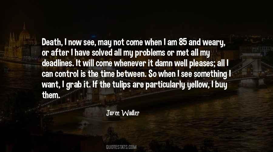 Joyce Wadler Quotes #284999