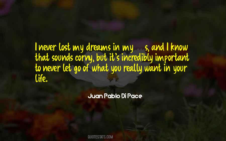 Juan Pablo Di Pace Quotes #567955