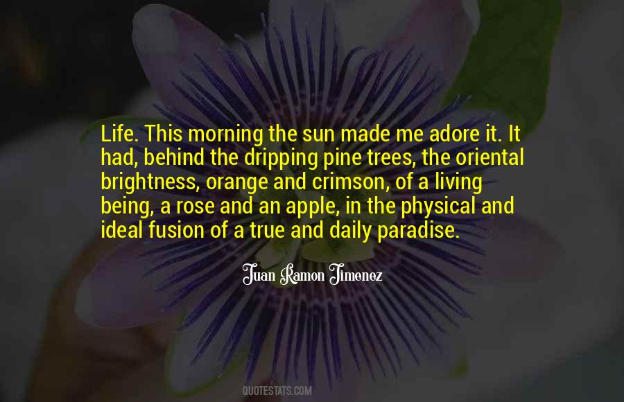 Juan Ramon Jimenez Quotes #66374