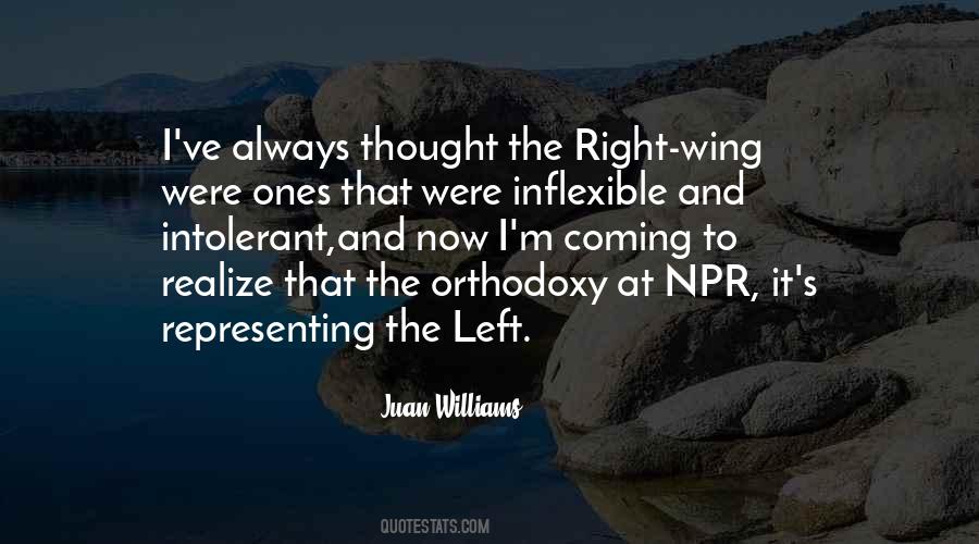 Juan Williams Quotes #1361404