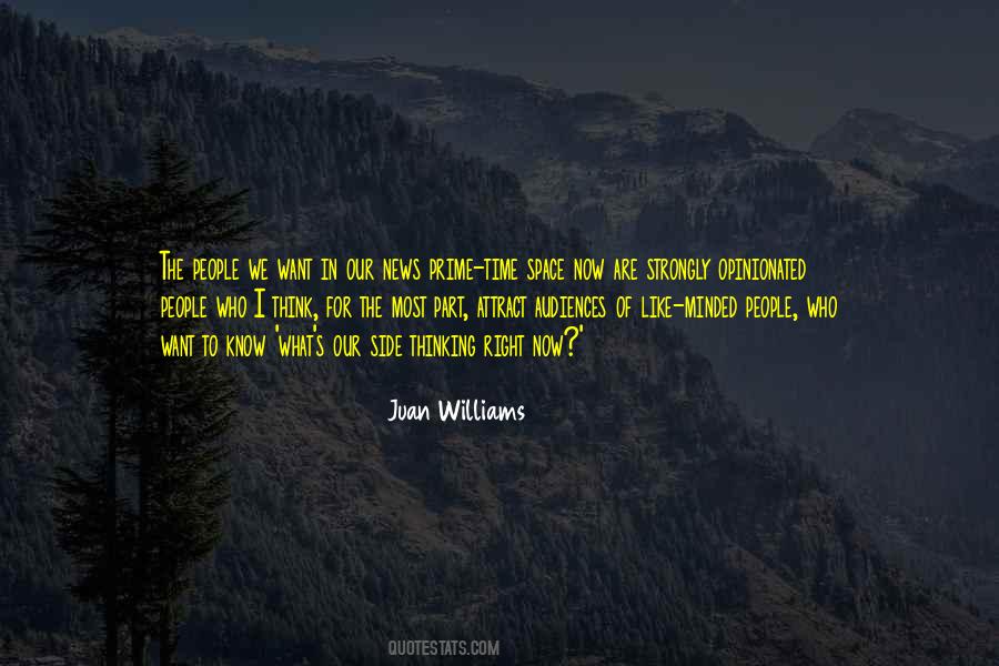 Juan Williams Quotes #859261