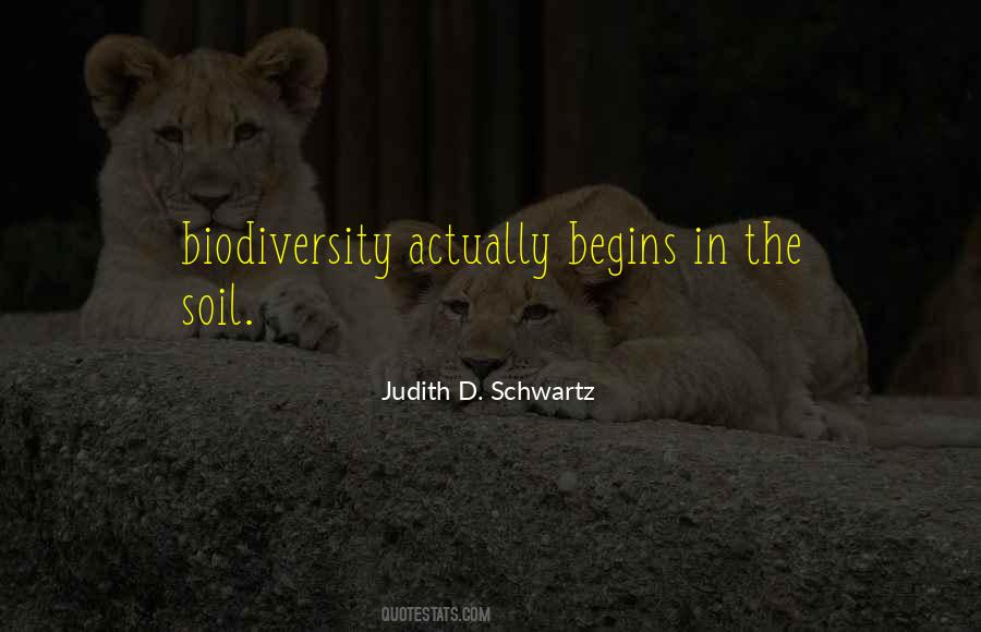 Judith D. Schwartz Quotes #132650
