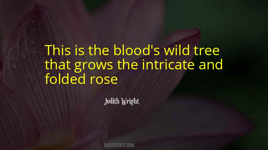 Judith Wright Quotes #474253