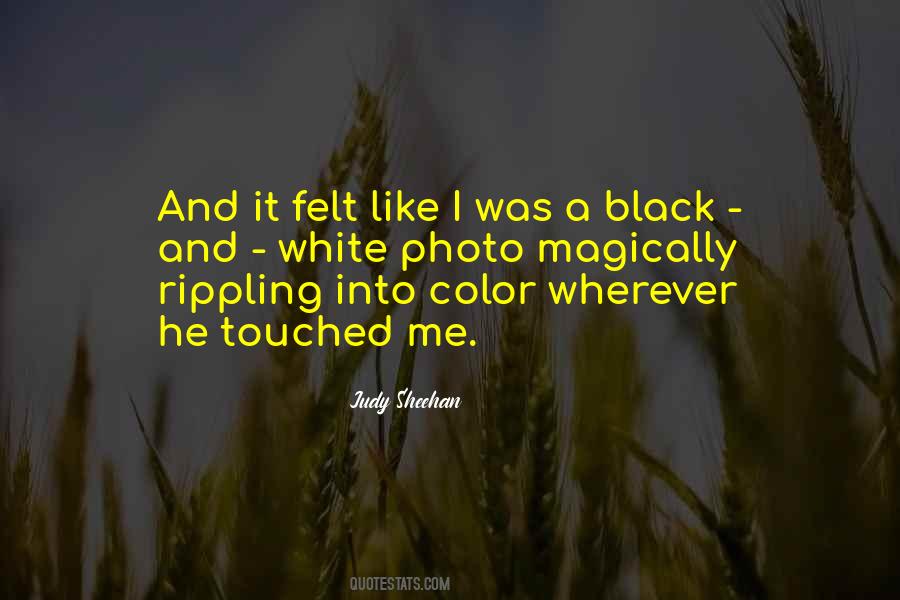 Judy Sheehan Quotes #1154583 Judy Sheehan Quotes #1154583