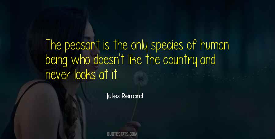 Jules Renard Quotes #1002962