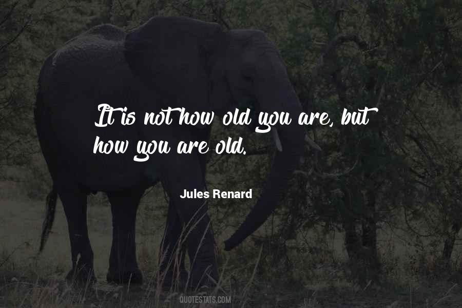 Jules Renard Quotes #506527