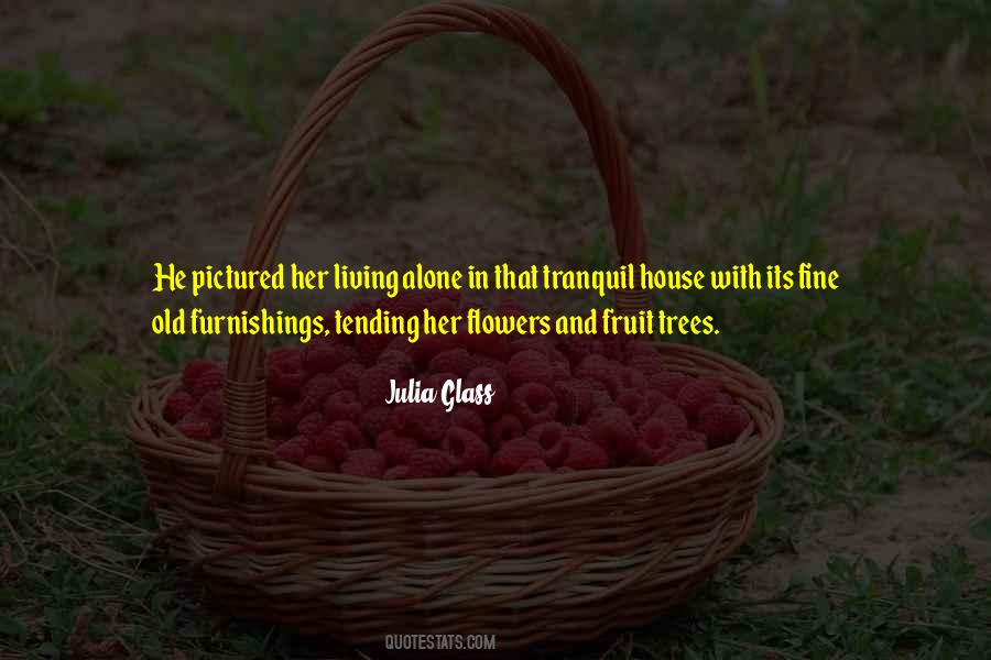 Julia Glass Quotes #356215
