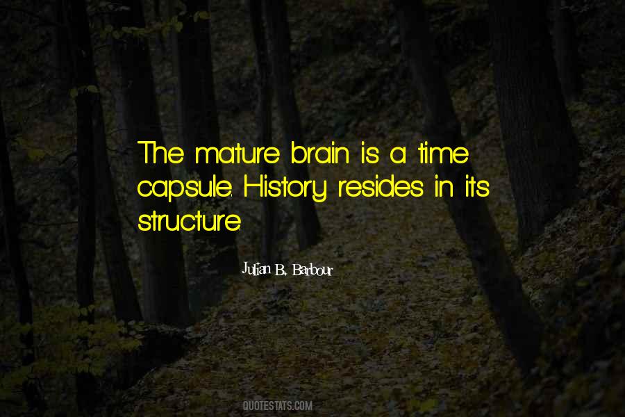 Julian B. Barbour Quotes #1737142 Julian B. Barbour Quotes #1737142