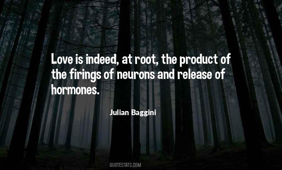 Julian Baggini Quotes #378790