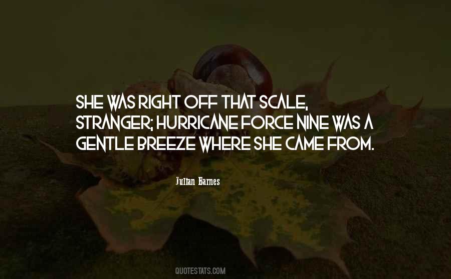 Julian Barnes Quotes #548942