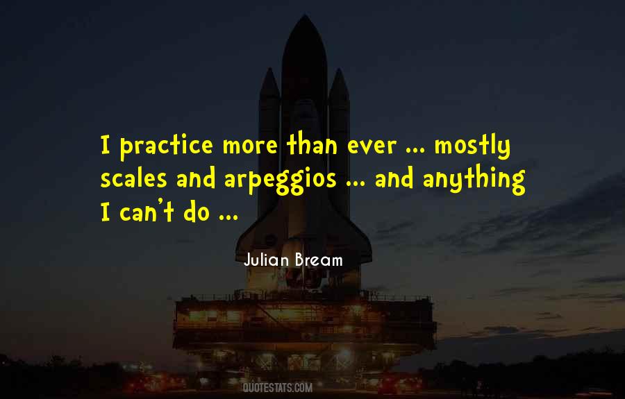 Julian Bream Quotes #1471304