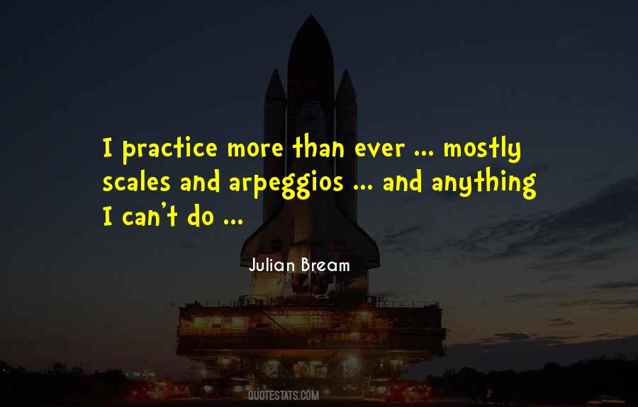 Julian Bream Quotes #1471304 Julian Bream Quotes #1471304