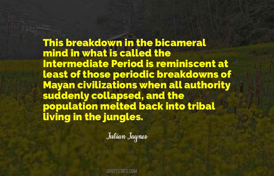 Julian Jaynes Quotes #81810