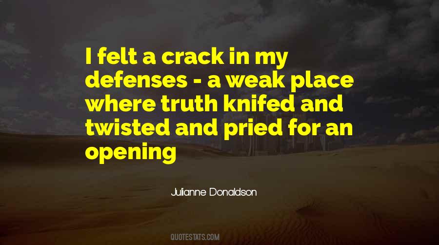 Julianne Donaldson Quotes #13533