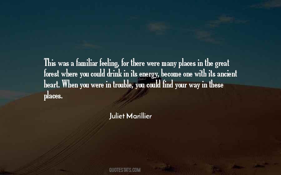 Juliet Marillier Quotes #1133615