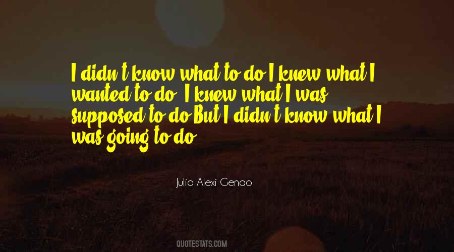 Julio Alexi Genao Quotes #28935