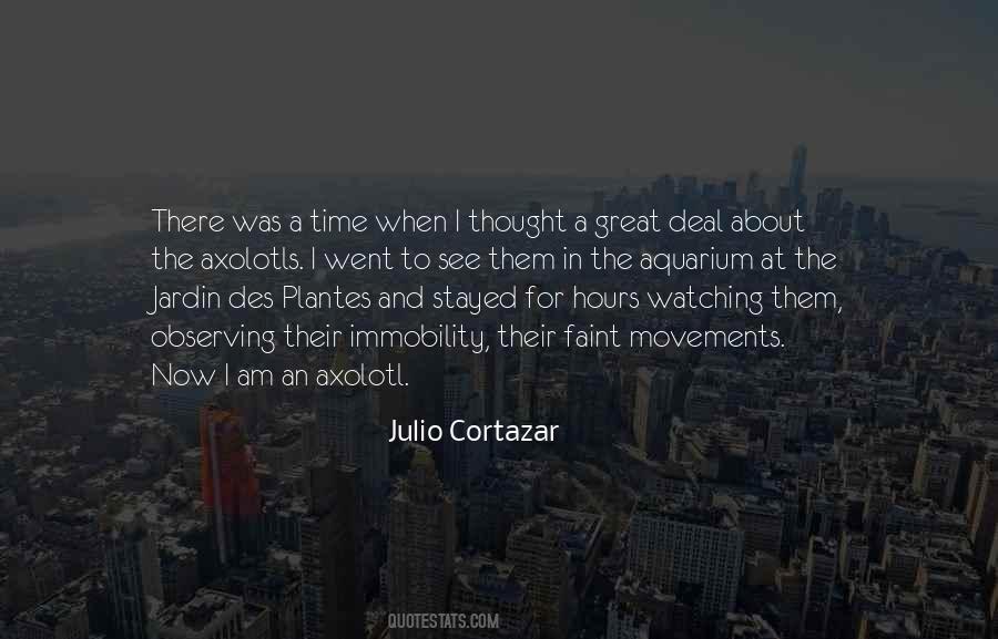 Julio Cortazar Quotes #349695