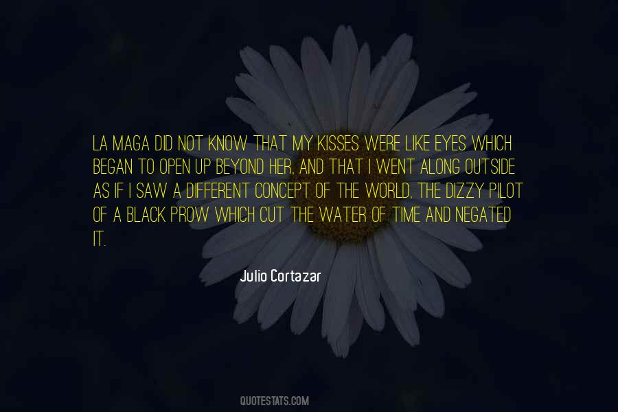 Julio Cortazar Quotes #75520