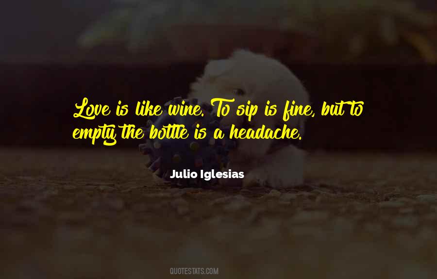 Julio Iglesias Quotes #280896