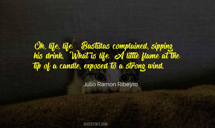 Julio Ramon Ribeyro Quotes #1716187