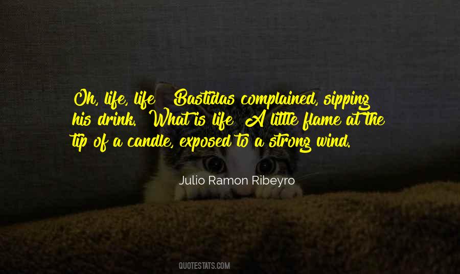 Julio Ramon Ribeyro Quotes #1716187 Julio Ramon Ribeyro Quotes #1716187