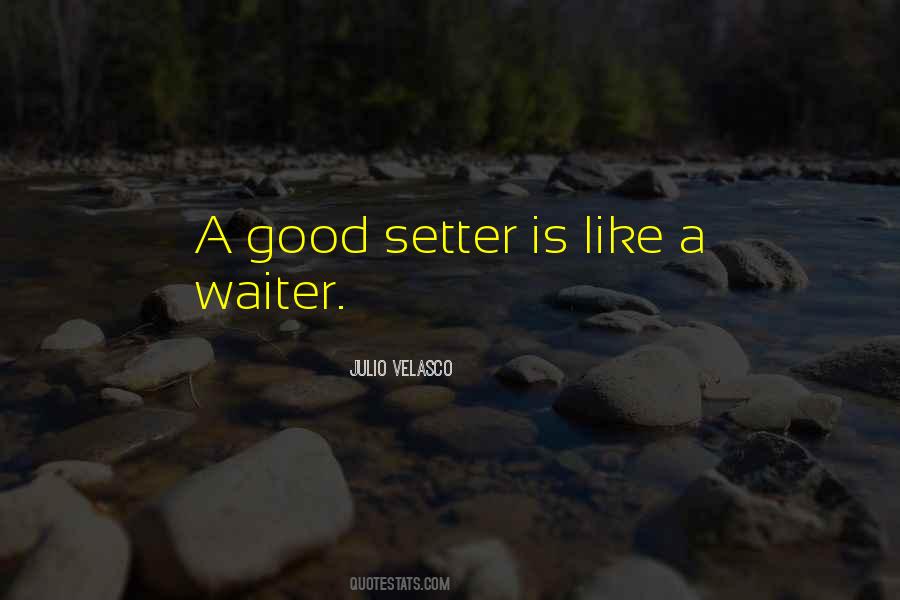 Julio Velasco Quotes #256088 Julio Velasco Quotes #256088