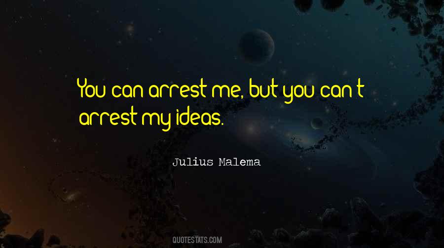 Julius Malema Quotes #492670