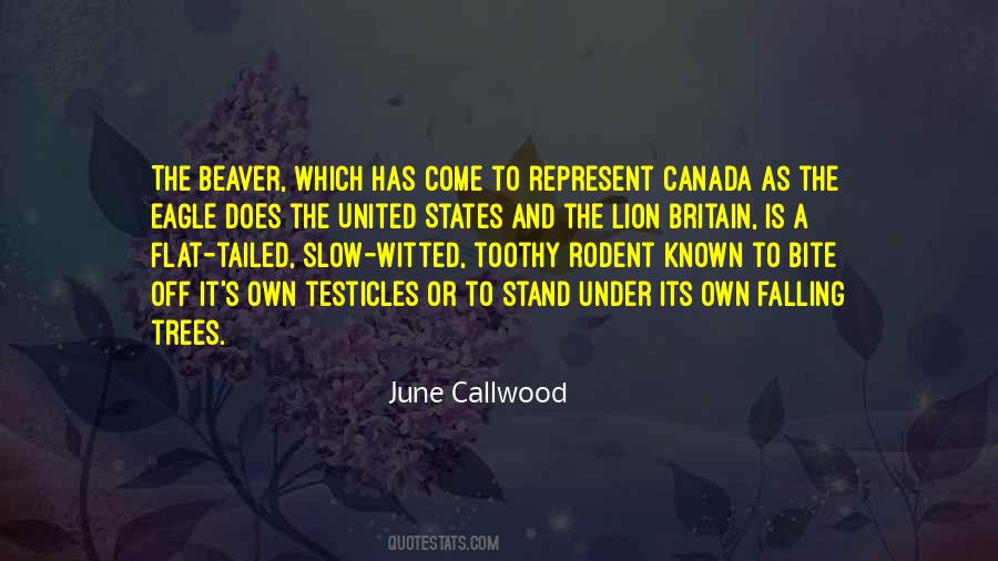 June Callwood Quotes #1046030