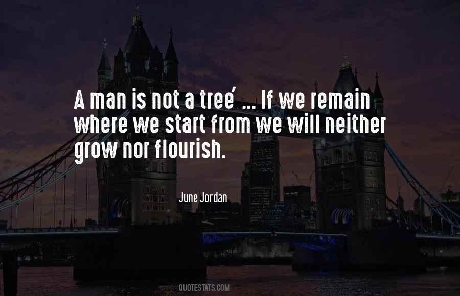 June Jordan Quotes #591072