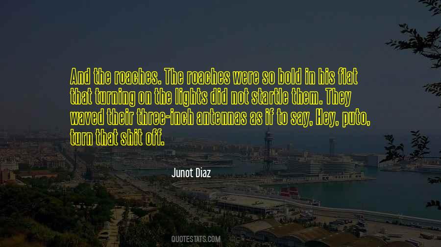 Junot Diaz Quotes #1122614