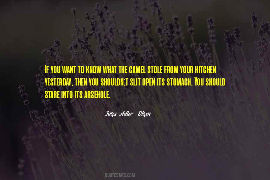 Jussi Adler-Olsen Quotes #1795919