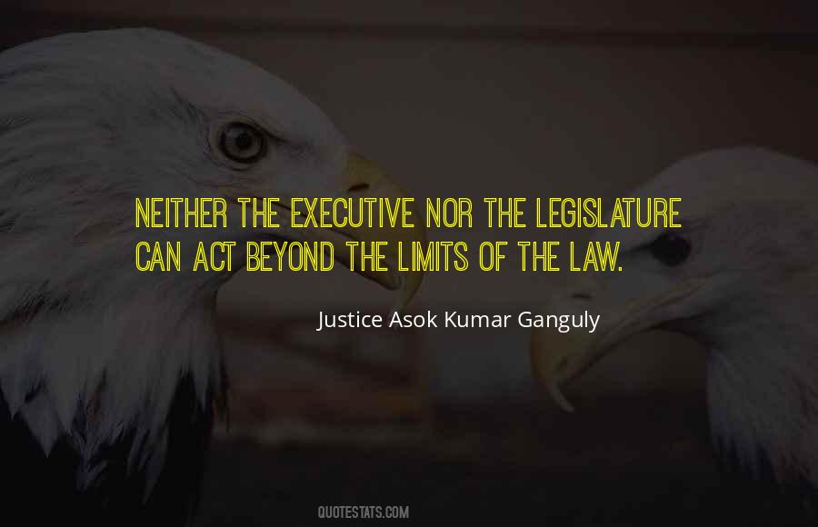 Justice Asok Kumar Ganguly Quotes #658403