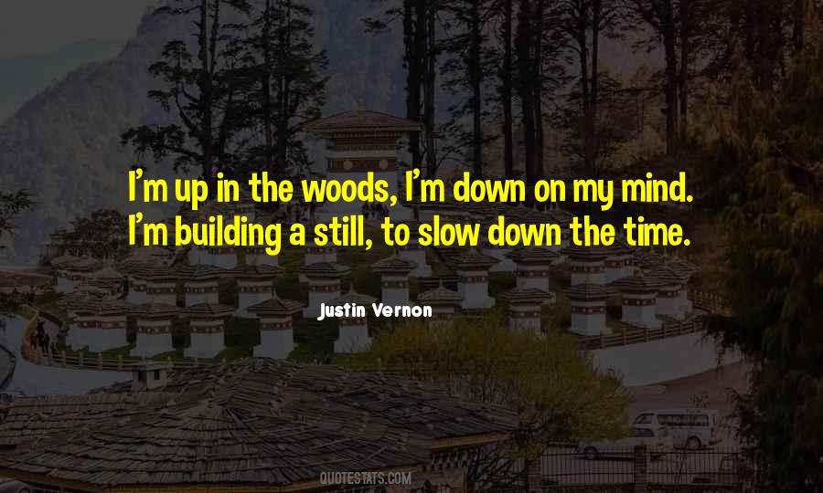 Justin Vernon Quotes #294788