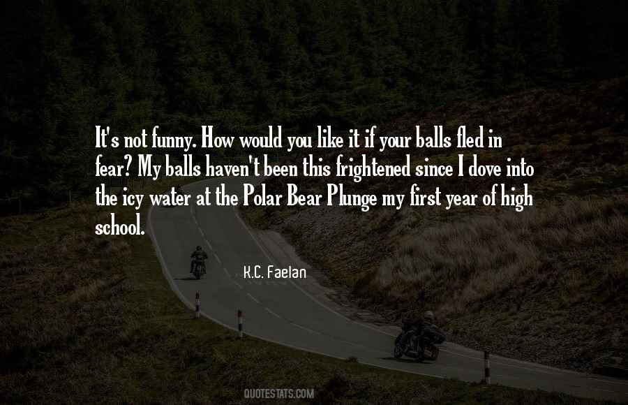 K.C. Faelan Quotes #1712425