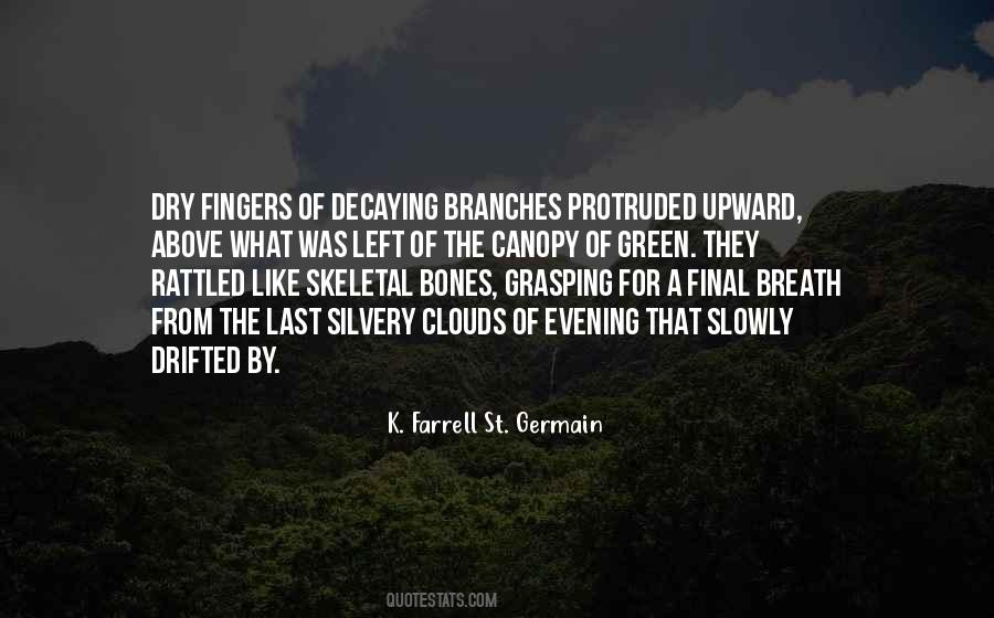K. Farrell St. Germain Quotes #990851