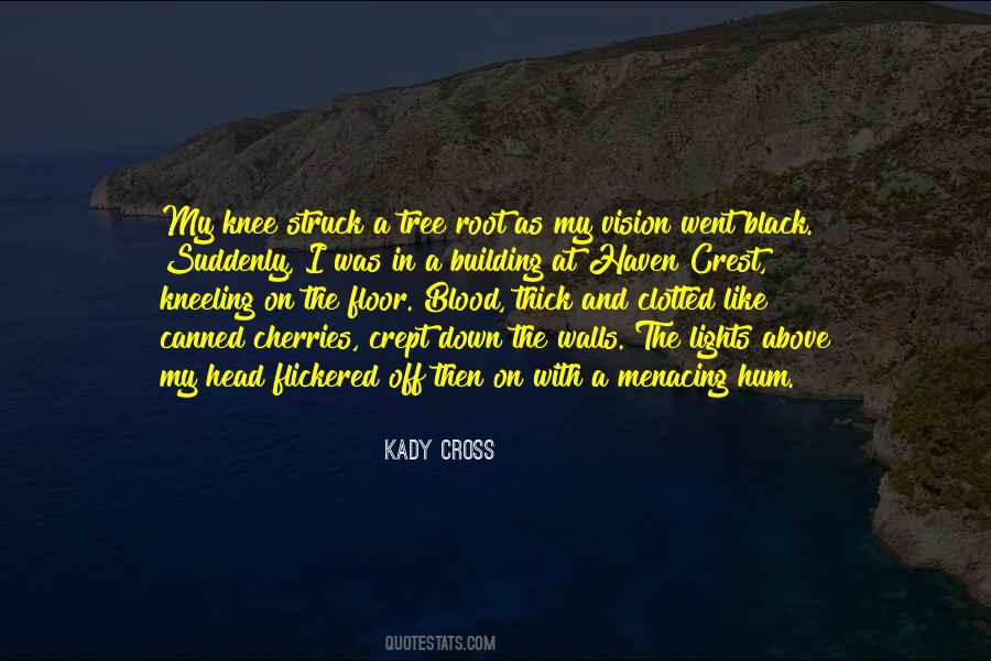 Kady Cross Quotes #437356