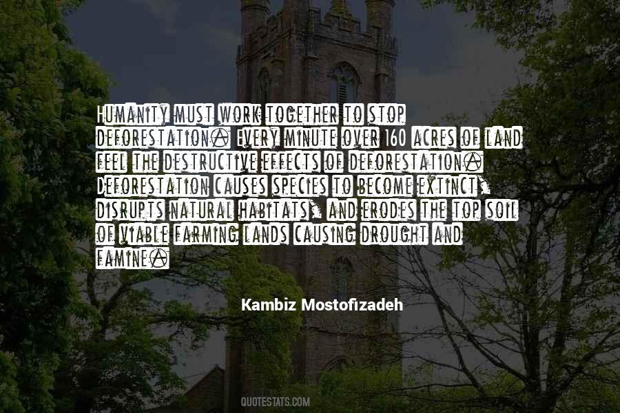 Kambiz Mostofizadeh Quotes #269596