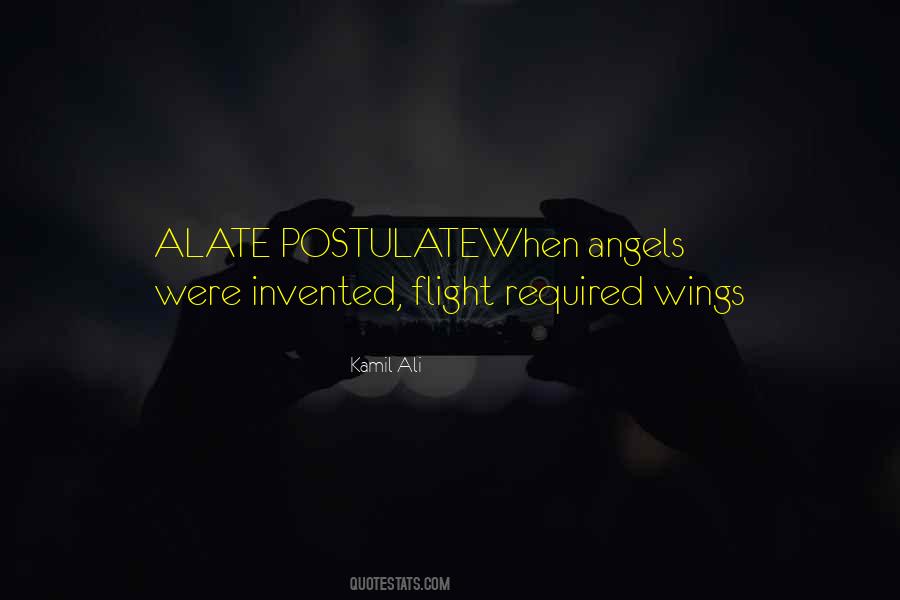 Kamil Ali Quotes #1420439