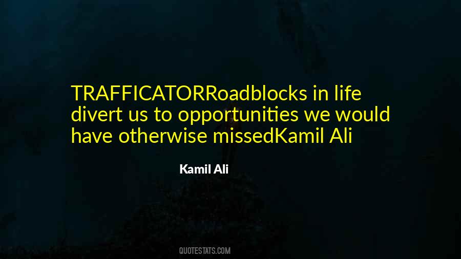 Kamil Ali Quotes #498879