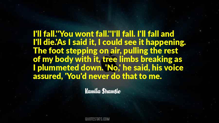 Kamila Shamsie Quotes #989358