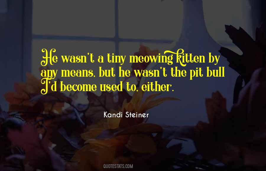 Kandi Steiner Quotes #1841626