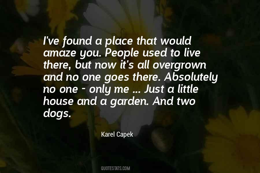 Karel Capek Quotes #306031