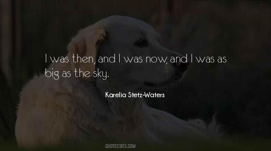 Karelia Stetz-Waters Quotes #1690402