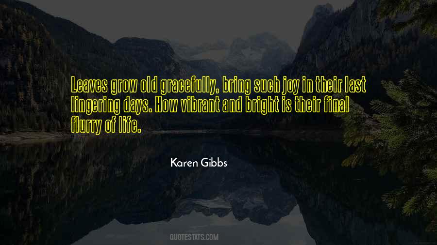 Karen Gibbs Quotes #580728