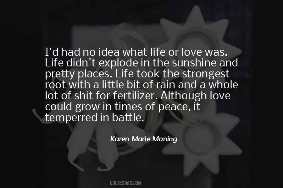 Karen Marie Moning Quotes #447583