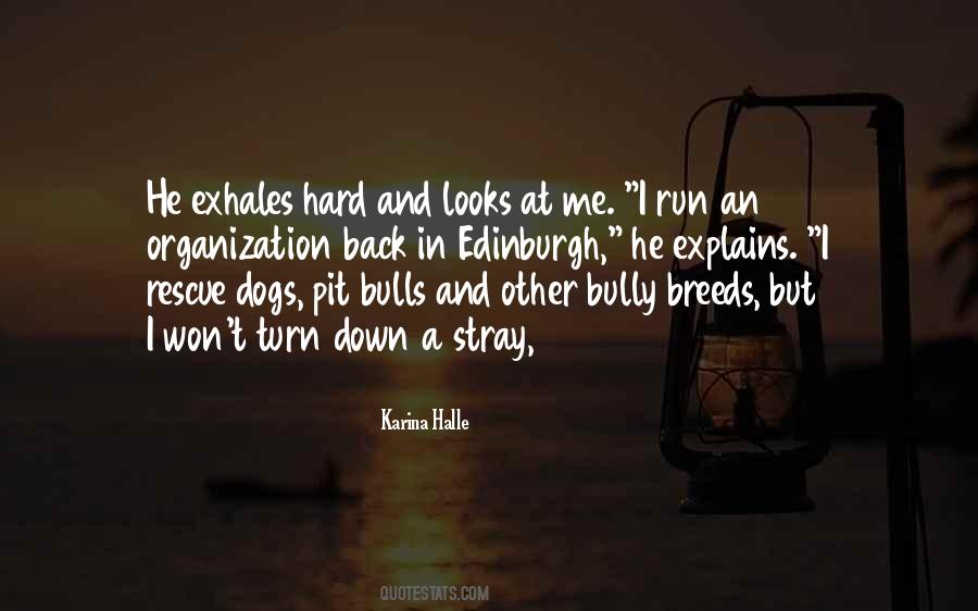 Karina Halle Quotes #802380