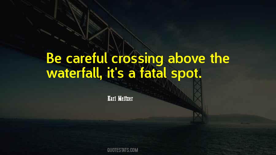 Karl Meltzer Quotes #324235