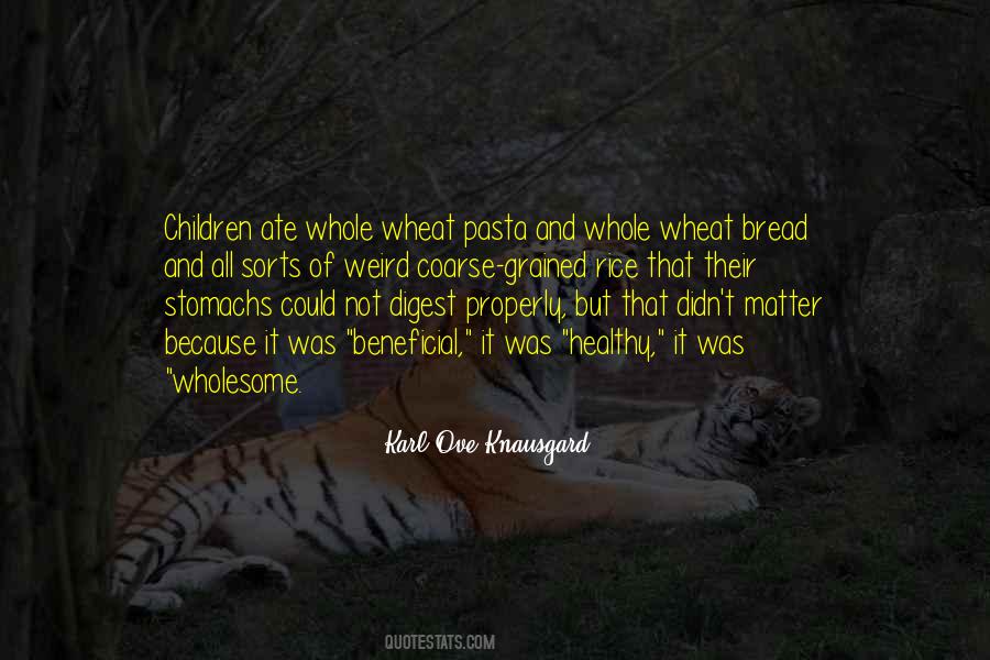 Karl Ove Knausgard Quotes #701071